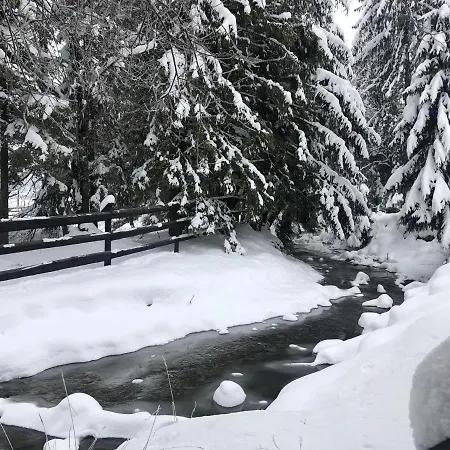 Dağ evi Goralski Nad Potokiem